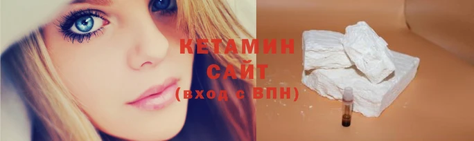 шишки Долгопрудный