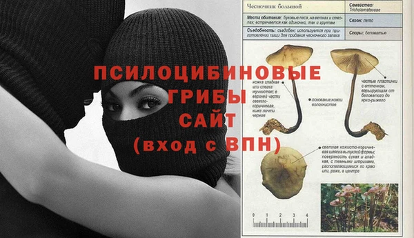 индика Медвежьегорск