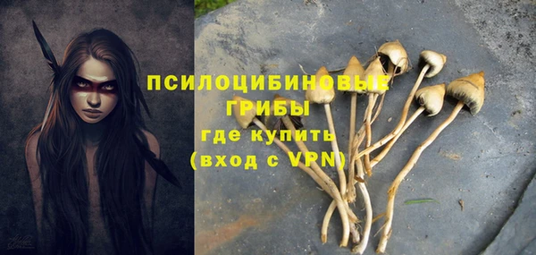 кокс Михайлов
