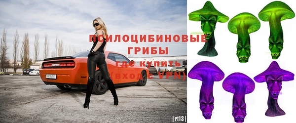 кокс Михайлов