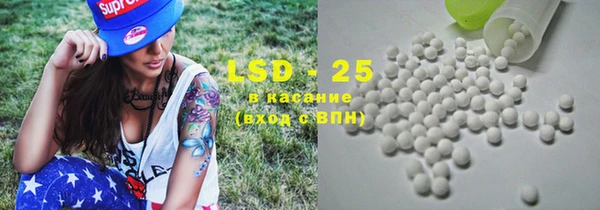 ГАЛЛЮЦИНОГЕННЫЕ ГРИБЫ Бердск