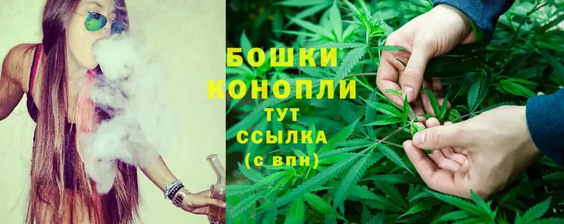 закладки  Крым  Конопля SATIVA & INDICA 